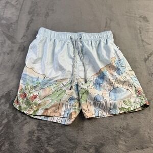 Vintage Summer Shorts Mens Medium Light Blue Santorini Print Lined Swim Trunks